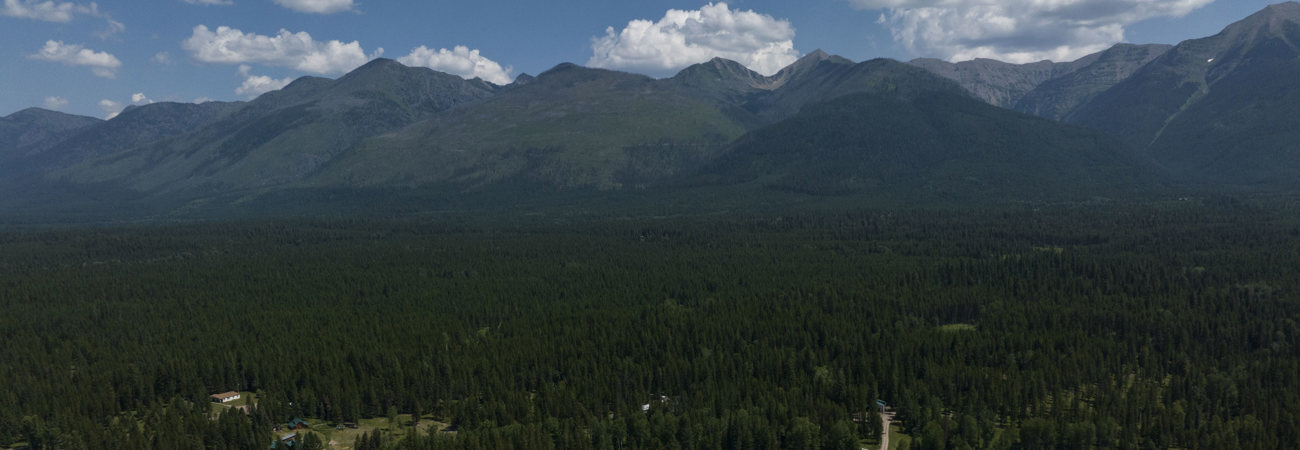 Aerial view of Condon in the summer with mountains in the background