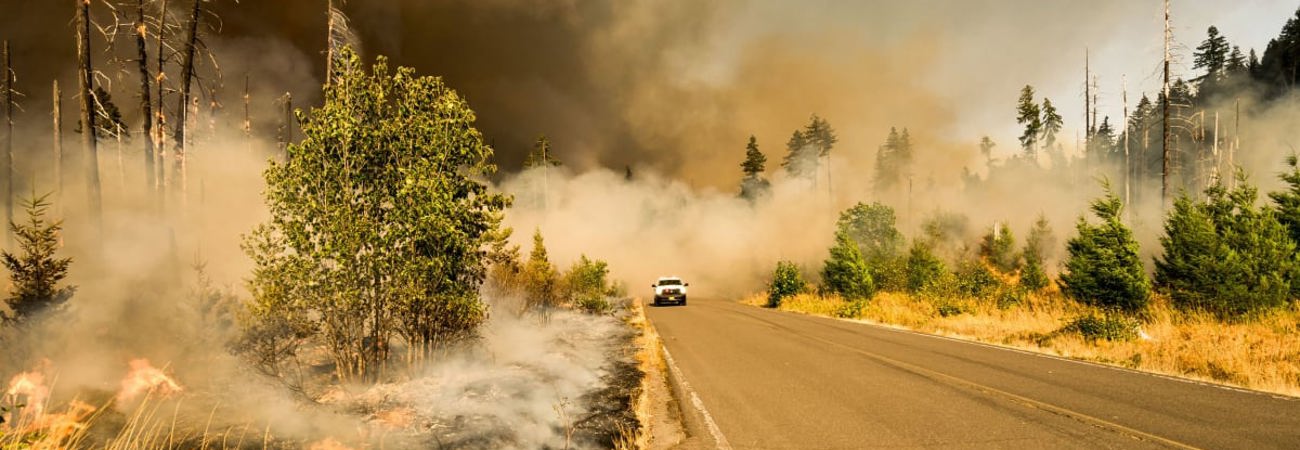 A Truck Driving Down A Road With Smoke Covering The Trees During A Wildfire
