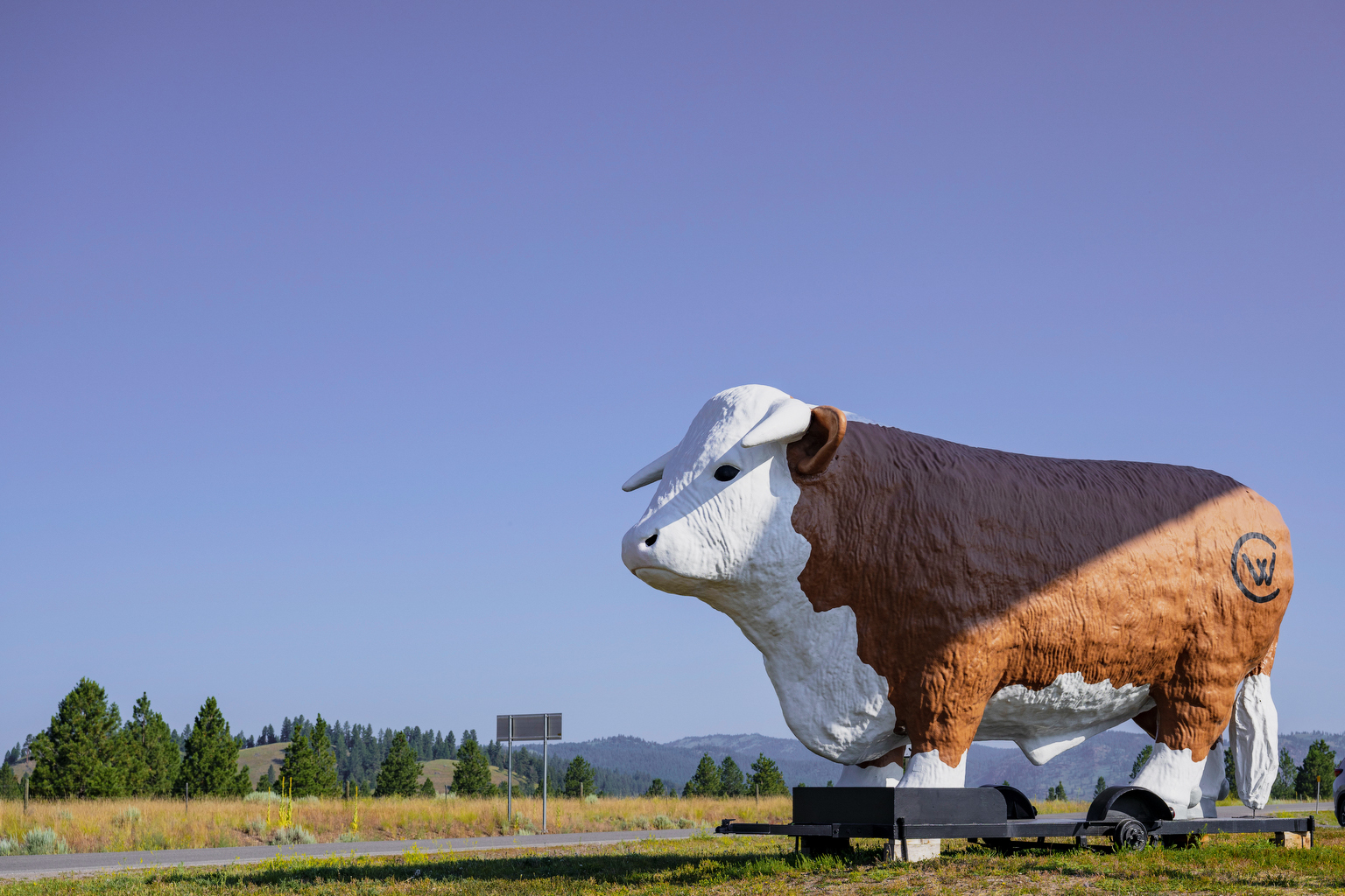 Clearwater Junction Cow Gas Station (3)