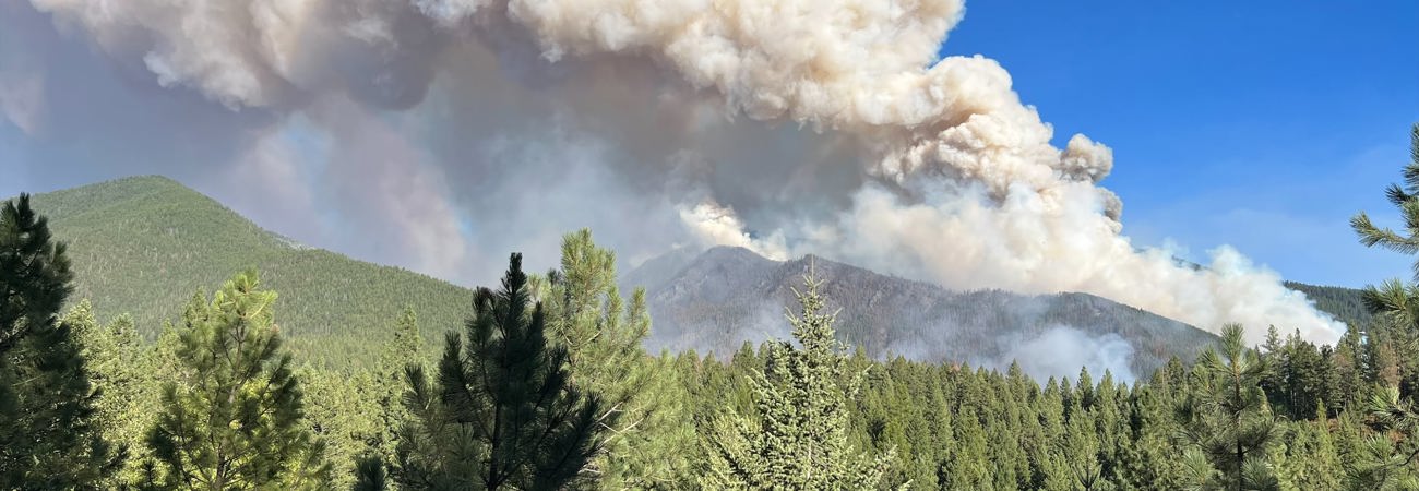 Smoke column rising above the forest during the 2023 Big Knife Fire