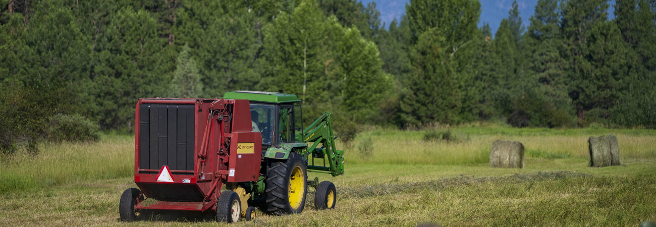 Tractor In Field (3)