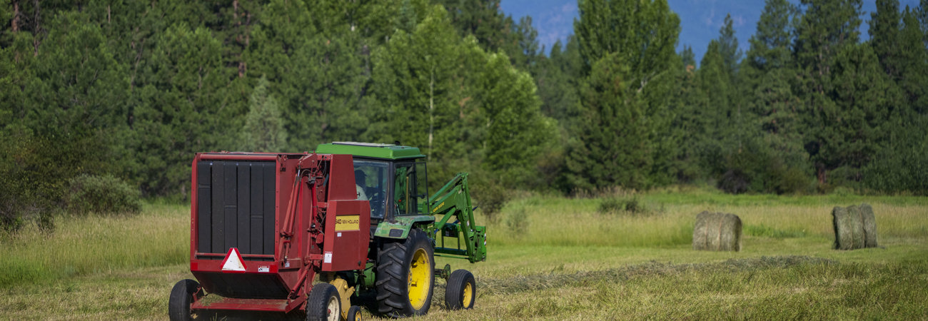Tractor In Field (3)