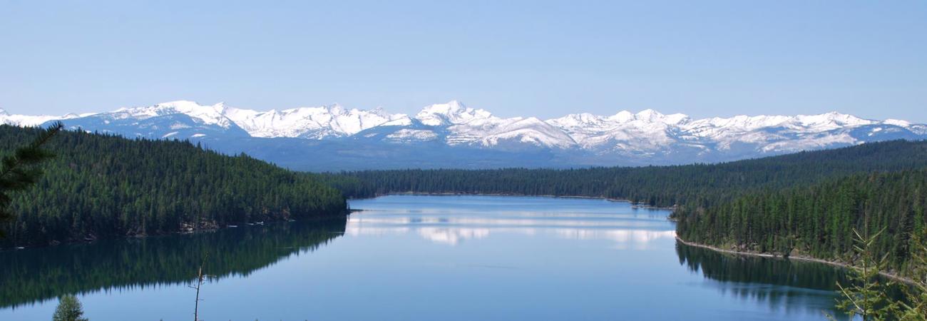 Holland Lake Surrounded By Green Trees And Snowcapped Mountains