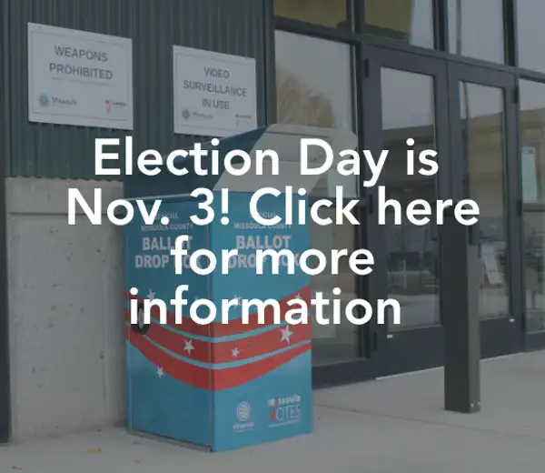 Election Day Is Nov. 3