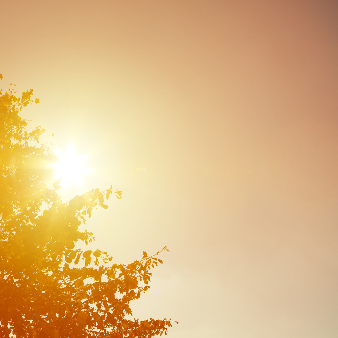 Extreme Heat, Hot, Sun, Summer