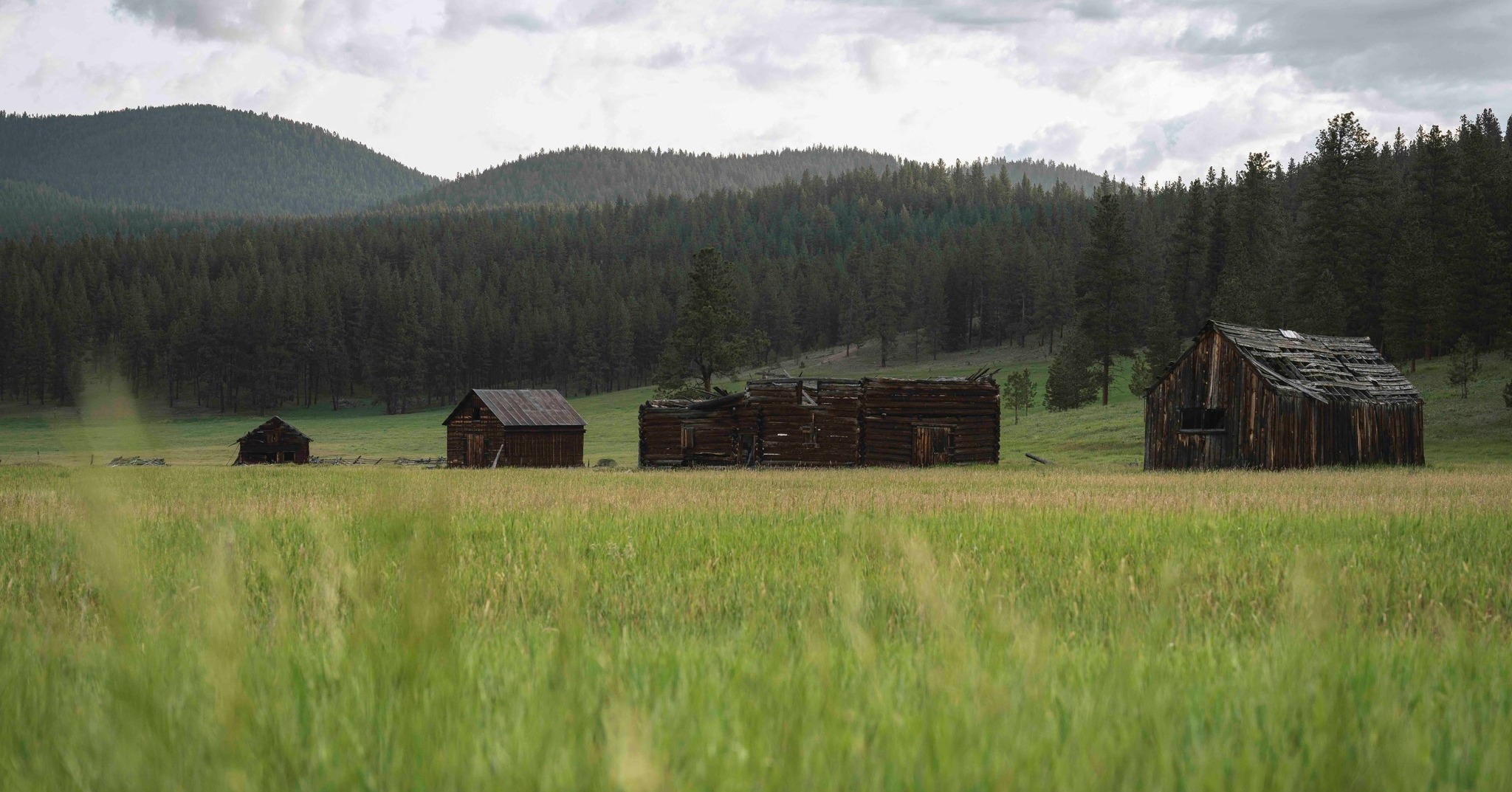 Three Log Buildings On The Case Ranch In Potomac
