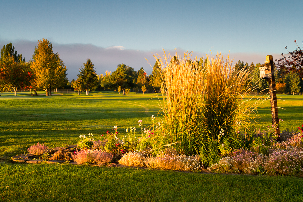 Larchmont Golf Course Photo By Peter Tucker 2013 (2)