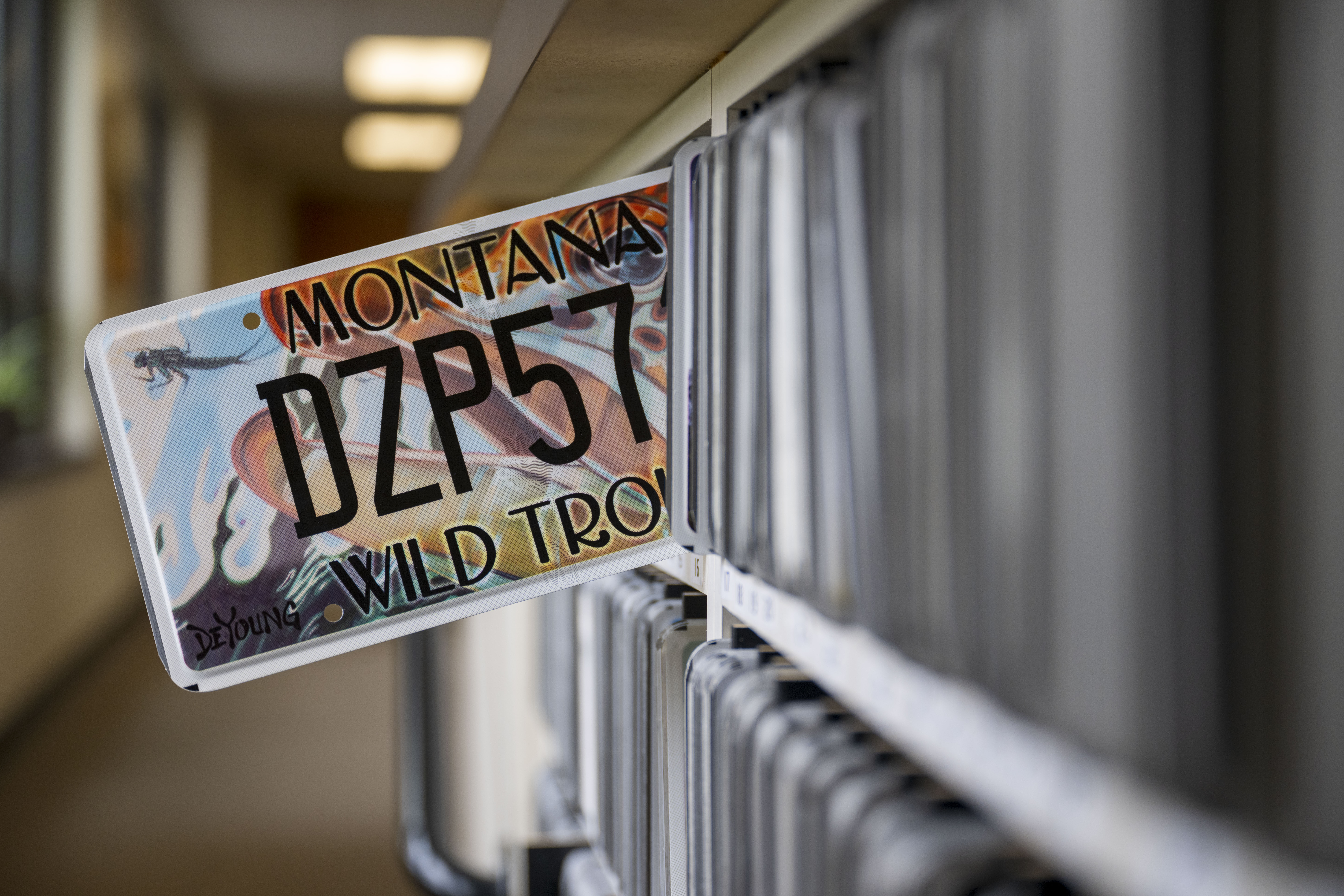 License plate in Treasurer's office