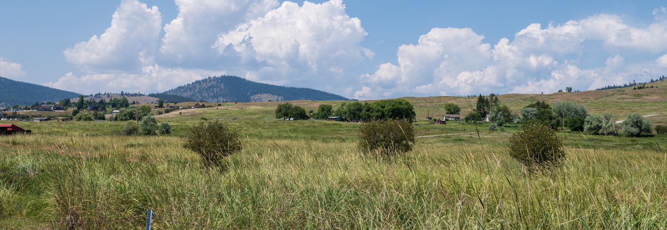 West Valley in summer