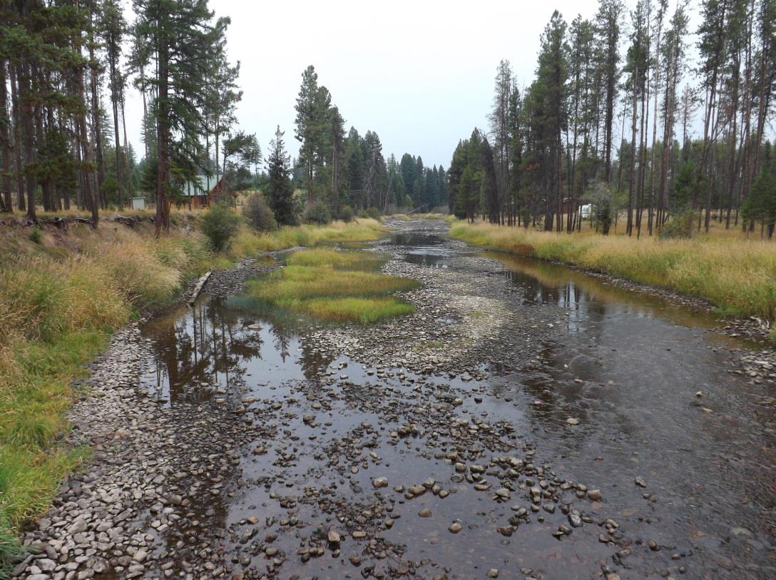 Low River With Rocks Surrounded By Grass And Trees
