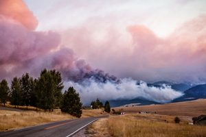 Wildfire smoke in the Rattlesnake